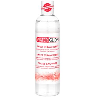 WaterGlide Lubricant with Flavour 300 ml - Clear