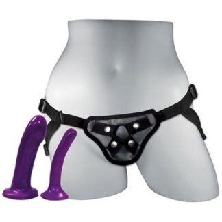 Anal Explorer Harness Set