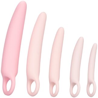 CalExotics Inspire Silicone Dilator Set - Rose