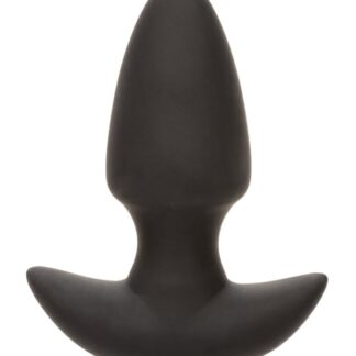 Rock Bottom Vibrating Thrusting Probe